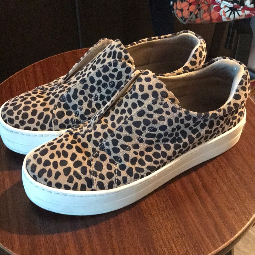 Cheetah J Slides